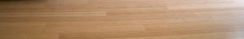 bamboo-floor-g.jpg